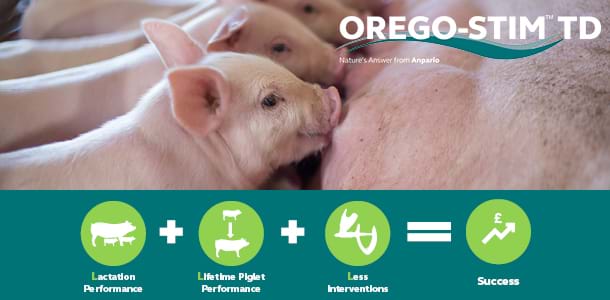 Technical Tip: Orego-Stim TD Supports the 3L's Formula to Boost Pig Unit Success
